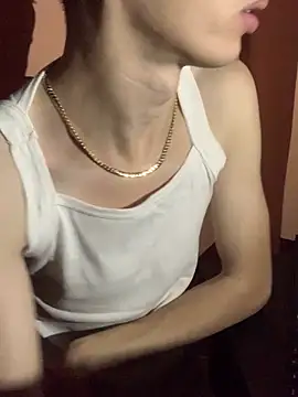 MiroKari2 Show Webcam