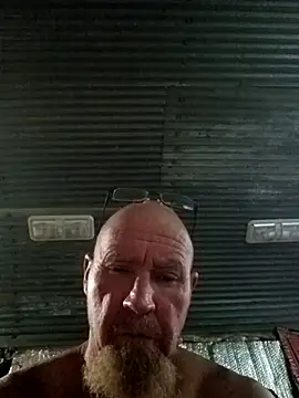 Redhitchern Webbikameraesitys