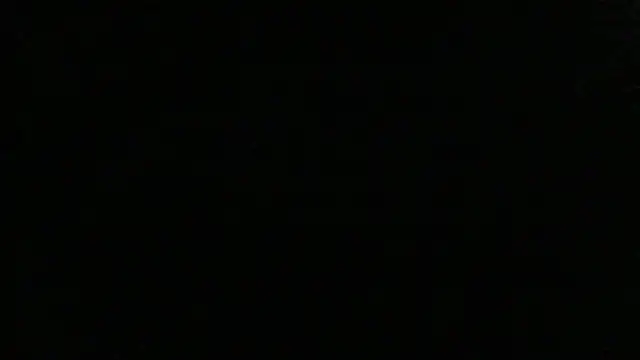 dracogotti élő XXX-chatje