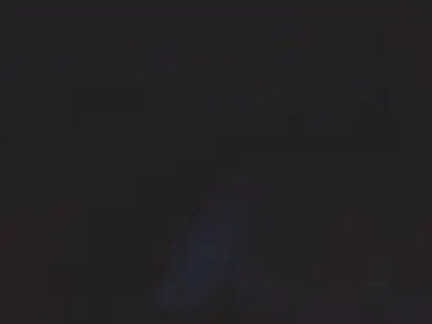 הופעת וובקאם של SHARPSkinhead