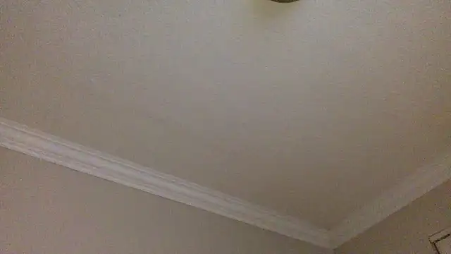 Dioxoxo – Naživo XXX chat
