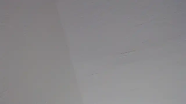 PeterHanglin Pertunjukan Webcam