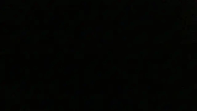 Show webcam de dracogotti
