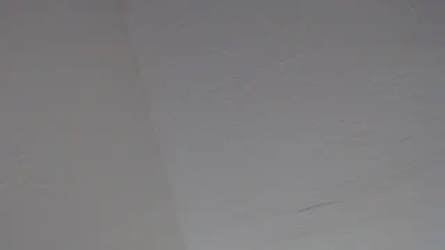 PeterHanglin 라이브 XXX 채팅