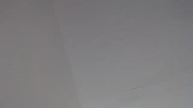 PeterHanglin élő XXX-chatje