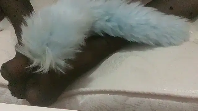 feetlover66656 Pertunjukan Webcam