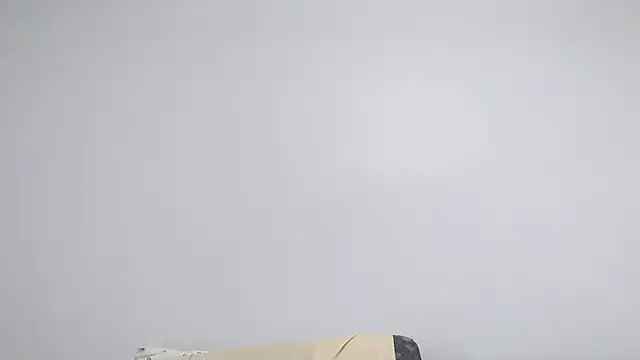 Show Webcam de BIGUNCUTHARDCOCK