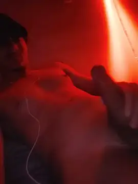 japalinfo Webcam show