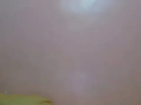 divinegrace1983 라이브 XXX 채팅