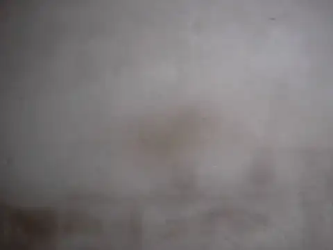 AlbertBigCock Obrolan Langsung XXX