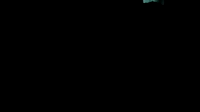 chased21 Show in webcam