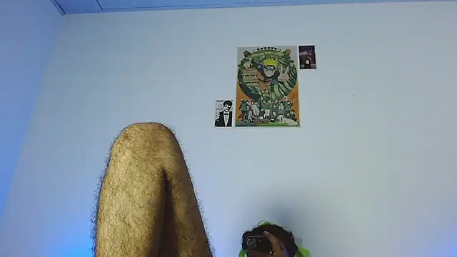 Austinreedssのウェブカメラショー