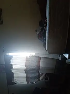 Zoltic Show Webcam