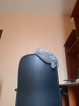 XXX chat uživo modela Ally-cutee
