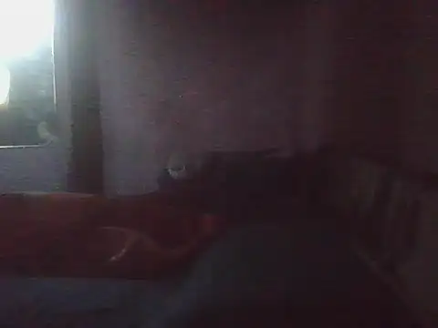 Chat +18 de kikodaf1 ao vivo