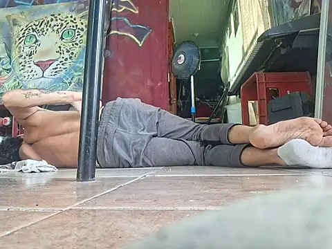 Show de Toycockhot na webcam