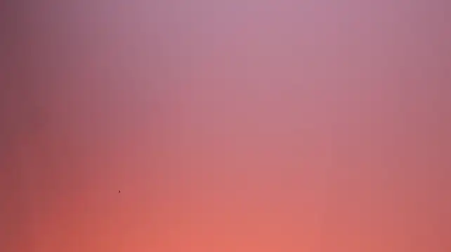 ValeryNova Chat XXX in diretta