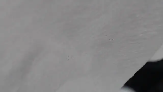 pnp_party's Webcam Show