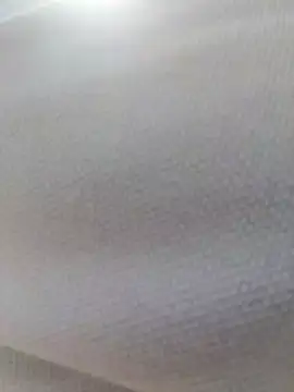 Chat +18 de Charlott-1 ao vivo