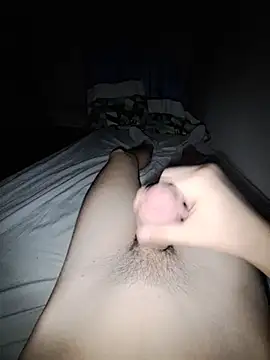MildStem 即時 XXX 聊天