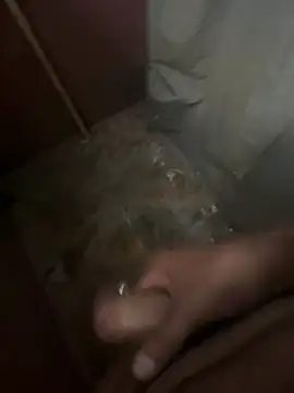 ZORRO7700n Webbikameraesitys