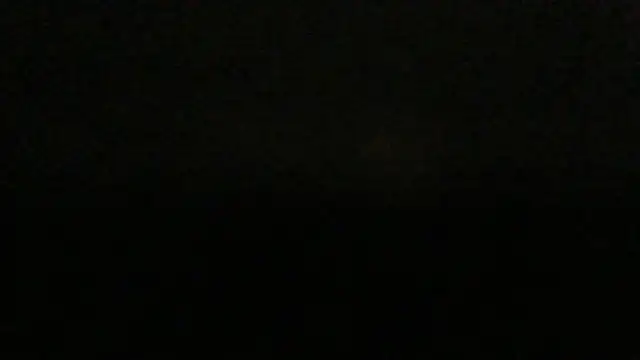 dracogotti's Live XXX Chat
