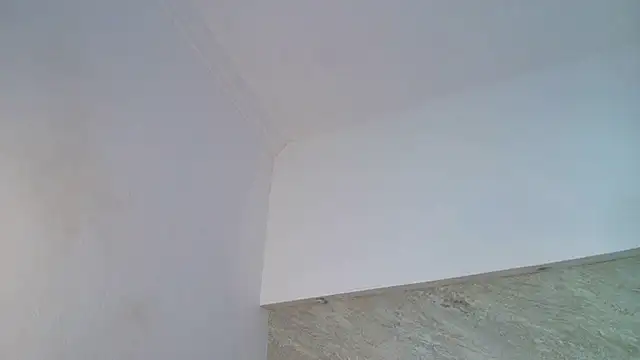 Dixie_grey1: απευθείας συνομιλία ΧΧΧ