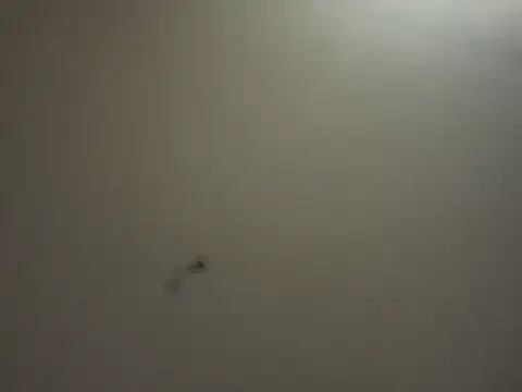 crisfootlicker Webcam show