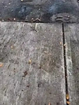 davidbq30 ওয়েবক্যাম শো