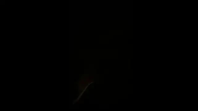 BlckDingaLing 现场XXX聊天