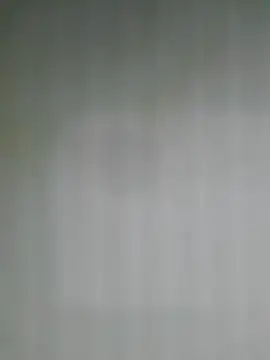 samvel6n Webbikameraesitys