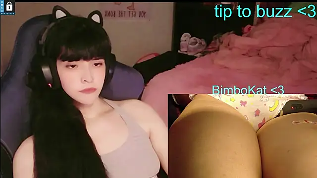 BimboCat 即時 XXX 聊天