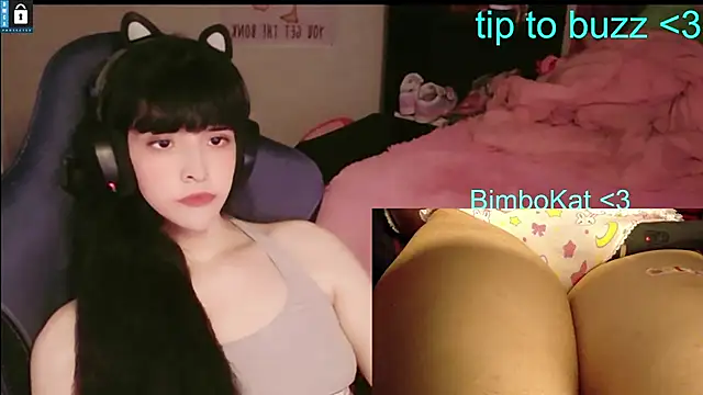 BimboCat Live XXX Chat