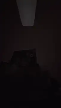Wonderboyharder 라이브 XXX 채팅