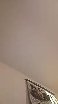 piggylatino – webcam-show