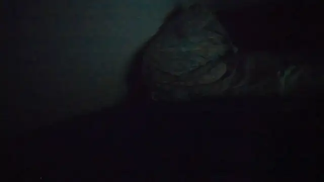 THEPRINCEOFSEXE@xh XXX чат на живо