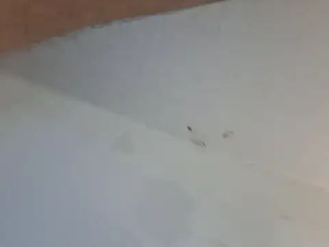 247Srokin's Webcam Show