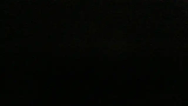 dracogotti élő XXX-chatje