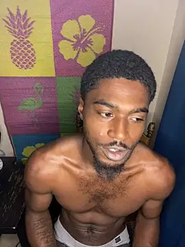 BrownSkinHandsome Шоу с уебкамера