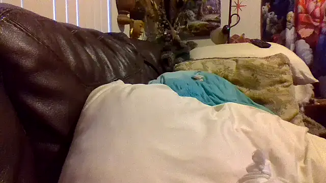 shag369 Webcamshow