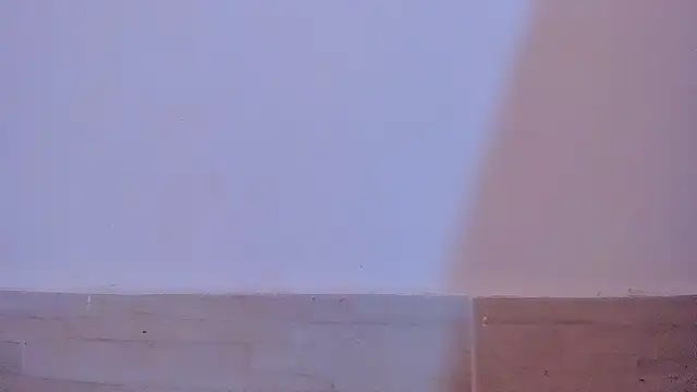 Sweet_Allan Live XXX-chat