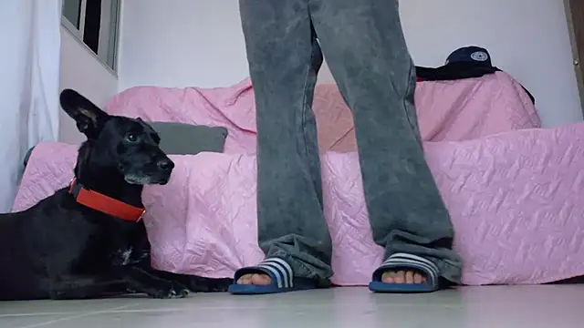 Chat XXX ao vivo de bully_boss