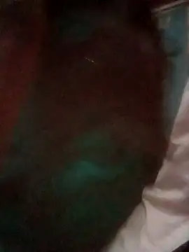 TINASONI 라이브 XXX 채팅