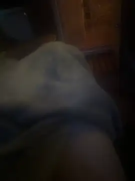 maniacklen Webbikameraesitys