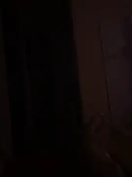 Pauuugrad Webcam-Show