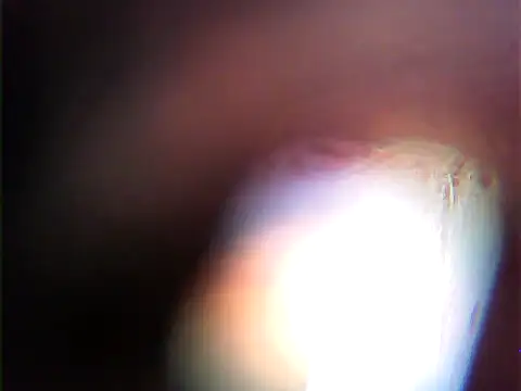 Show modela utoopia777 na web-kameri