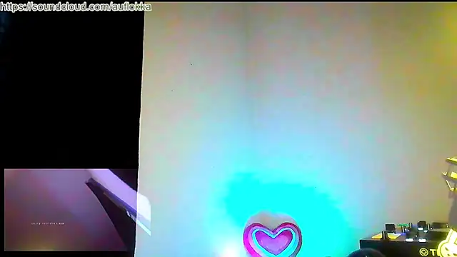 Guyst049 Webcam-Show