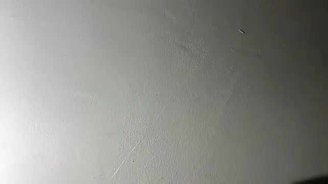 leanjamesdean 现场XXX聊天