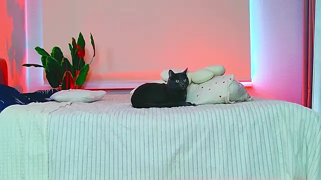 StarrShinee Live XXX-chat