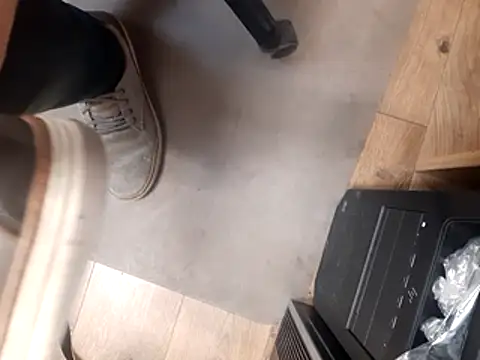 feathersify Webcam-Show